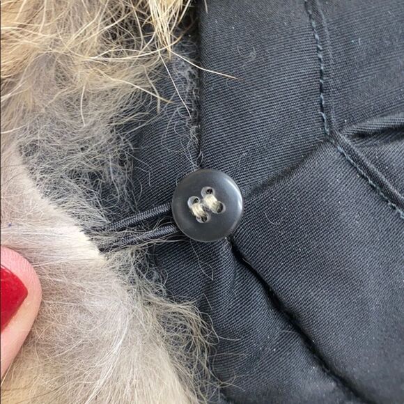 Woolrich - Classic Arctic Parka - Picture 11 of 16